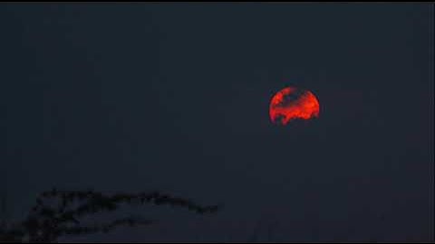 ما أجملها تلاوه تُرقق القلوب | خـالـد الجـهّيـم