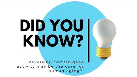 Lifespan Psychology: Middle Adulthood and the Physical Changes