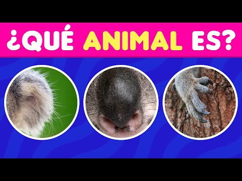ADIVINA EL ANIMAL