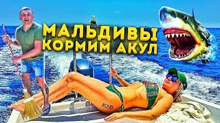 Цены на Мальдивах! Акулы на острове Расду!