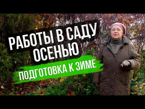 Деревья и кустарники осенью. Подготовка сада к зиме