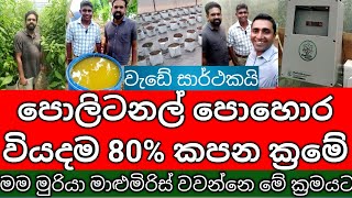 How to Reduce the Cost of Chemical Fertilizers in Polytunnel Cultivation in Sri Lanka