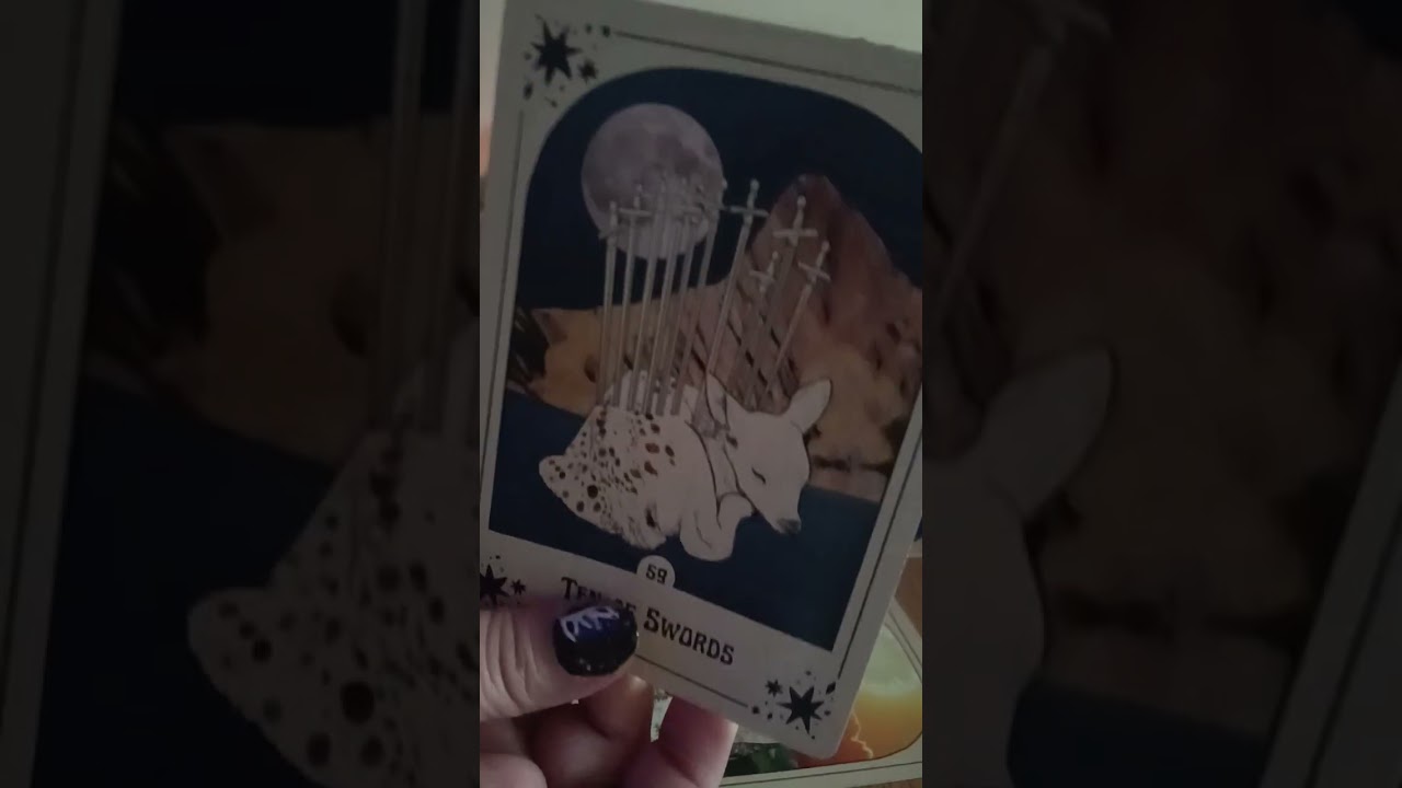 Etalare Generală perioada 27 Februarie 31 Martie 2026...💫⭐🌛🌞