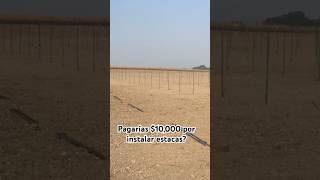 #PropertyUpgrade#LandDevelopment#PropertyInvestment#FarmInvestment#BuildItRight#QualityWork