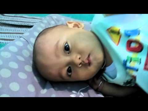 funny-baby-videos-free-download