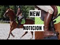 NOTICION | DESPEDIDA con mi CABALLO | BOTAS