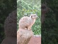 كل لديه اعتقاد