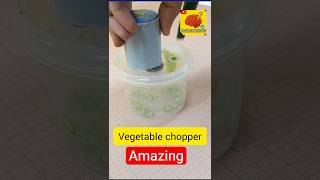 Make a vegetable chopper with simple and practical tools. If you like, click here. #diy