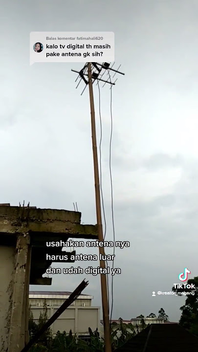 set top box digital harus pake antena?