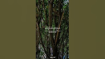 ياسر الدوسري آيات من سورة الجاثية #وتين_الإيمان #قرآن