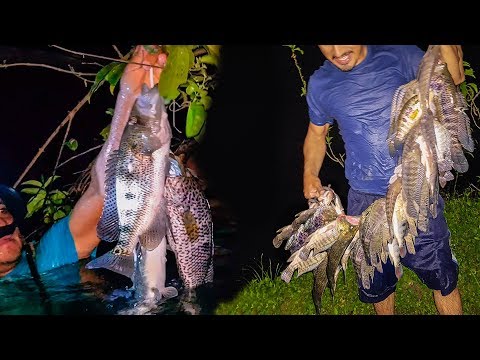 😱 PESCA EN RIO Con Arpón Más de 30 LIBRAS 🐟 MUY GRANDES 