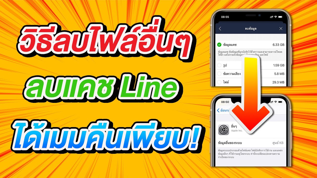 วิธีลบไฟล์อื่นๆ หรือ Others ด้วยการลบแคช Line ได้พื้นที่เมม iPhone คืนมาเพียบ (2020)