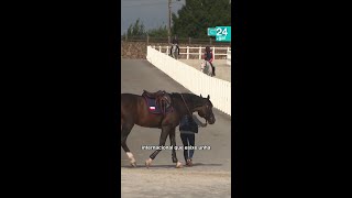 🐎 ARTEIXO | O centro HÍPICO de Casas Novas acolle o Campionato Europeo de Saltos