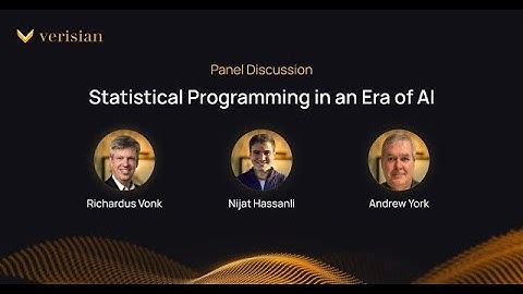 Panel Discussion: Statistical Programming in an Era of AI