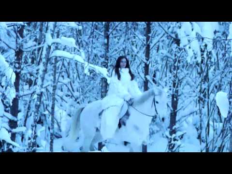 Horse action in snow