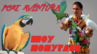 PortAventura World шоу с попугаями.#PortAventura