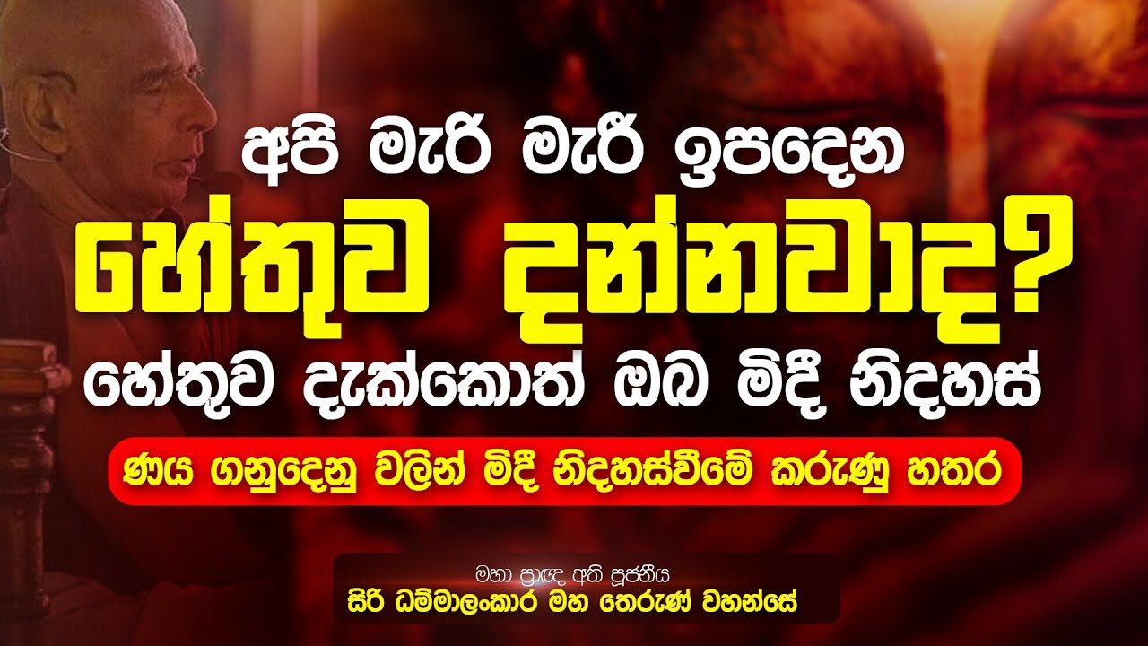 අපි මැරි මැරි ඉපදෙන හේතුව මොකක්ද ? හේතුව දැක්කොත් ඔබ නිදහස් | ණයෙන් මිදි නිදහස් වීමේ කරුණු හතර