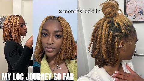 MY LOC JOURNEY SO FAR | Starter locs to 2 months update