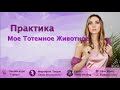 Практика «Мое тотемное животное»