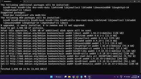 DNS Server | Debian 12