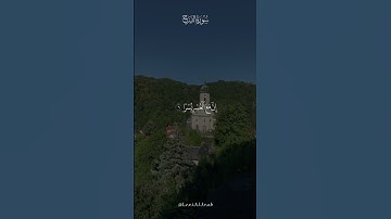 أَلَمْ نَشْرَحْ لَكَ صَدْرَكَ (1) | سورة الشرح | علي جابر رحمه الله