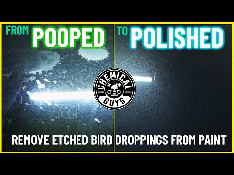 How To Polish Out Etched Bird Droppings - Bird Poop Restore Series pt.2 - Chemical Guys