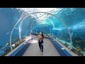 Visiting Ocean Park then reading comments and questions from subscribers