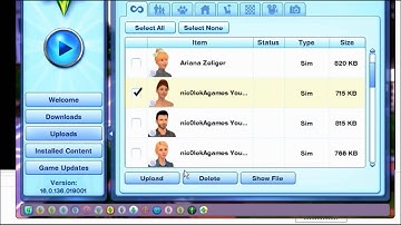 How To Upload Lots/Sims And Items Onto The Sims 3 Exchange