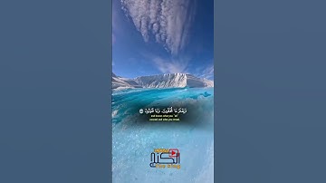 #تلاوة_خاشعة #تلاوة_هادئة #المصحف #قرأن_كريم #اكسبلور #راحة_نفسية