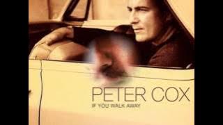 If You Walk Away - Peter Cox