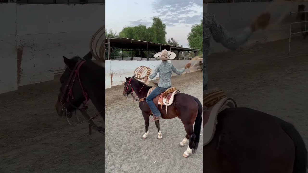 SADDLE CAUGHT ON FIRE Charrer A Tiktok Caballos Charros Piales Trending