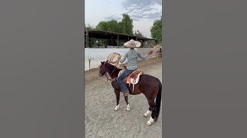 SADDLE CAUGHT ON FIRE🙀🙀!!!! #charrería #tiktok #caballos #charros #piales #trending