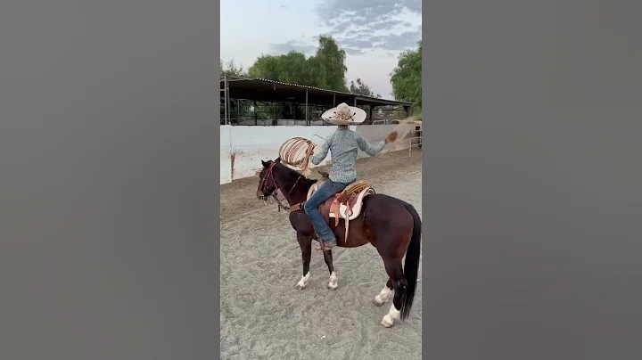 SADDLE CAUGHT ON FIRE🙀🙀!!!! #charrería #tiktok #caballos #charros #piales #trending - DayDayNews
