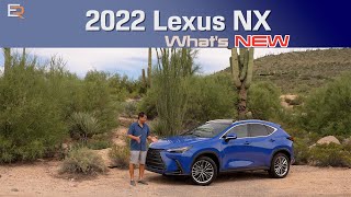 2022 Lexus NX 350/450H+ Review // Will This be the Best Selling Lexus Ever?