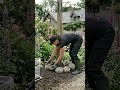 Stop Throwing Away Old Tires—Here Is a Permanent Solution for Your Garden