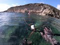 Spearfishing/pesca in apnea Sardegna 2020 Polpo in tana estratto usando entrambi i fucili