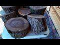 Current inventory number 2 of Dr Ricks tree service and lumber mill of Chattanooga Current inventory number 2 of Dr Ricks tree service and lumber mill of Chattanooga