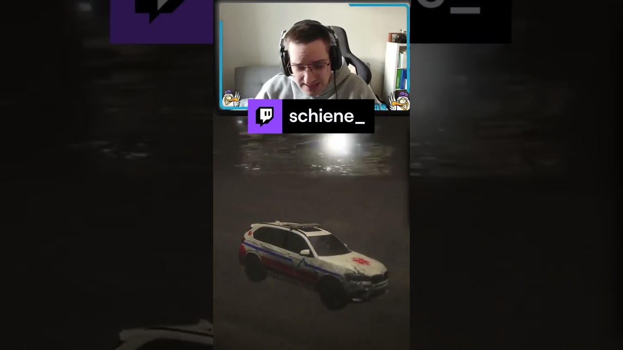 ⁣Schiene? Das Auto kann weder fliegen noch schwimmen Keepo | schiene_ auf #Twitch