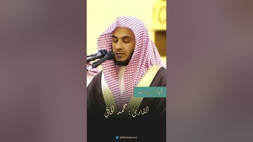 القارئ محمد الحافي