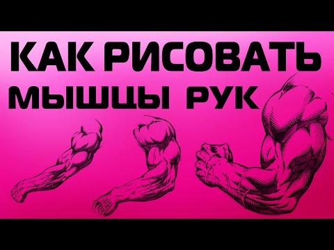 КАК РИСОВАТЬ МЫШЦЫ РУК
