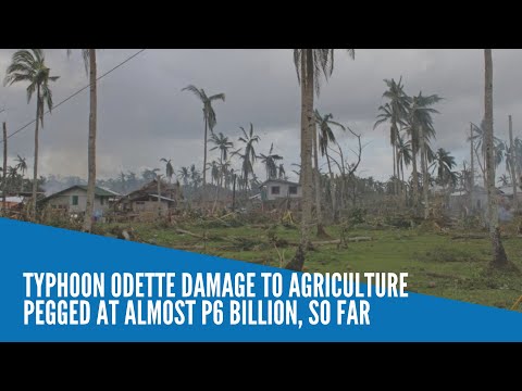 Typhoon Odette damage to agriculture pegged at almost P6 billion, so far