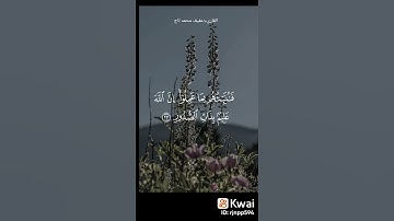 سوره لقمان الشيخ عفيف محمد تاج