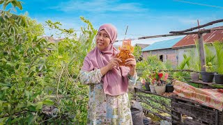 Apical Empowers Community 150Kg Cooking Oil Fuels Enis Journey To Success Nurul Fatiha Chips