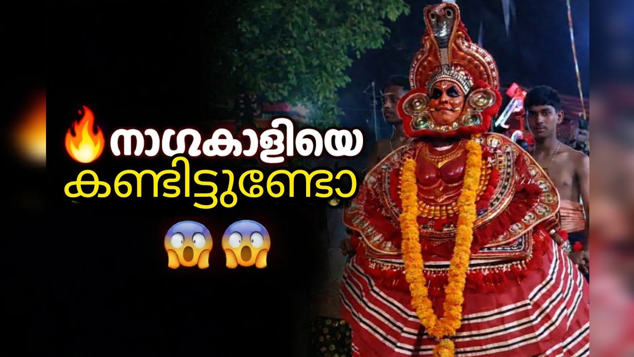 നാഗകാളിയെ കണ്ടിട്ടുണ്ടോ?😱😱😱naagakaali 