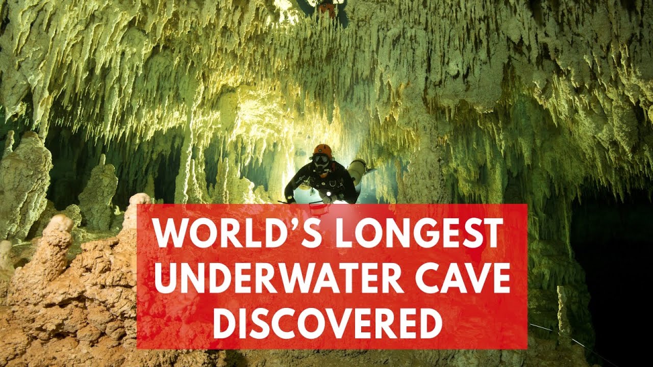 Archaeologists in Mexico Discover Treasures of Mayan Civilization and Giant Sloth Fossils in Vast Underwater Cave