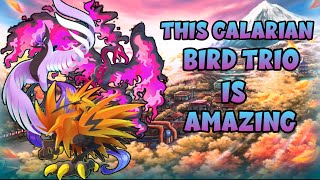 This Galarian Bird Trio Is Awesome 😍 | Pokemon Showdown