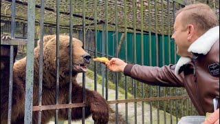 Олег Зубков УГОЩАЕТ  медведя и делает ему БУТЕРБРОД с медом!
