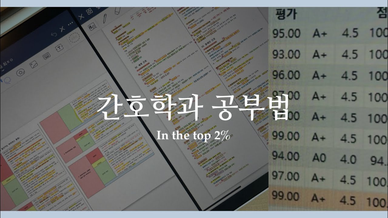 상위 2%의 간호학과 공부법