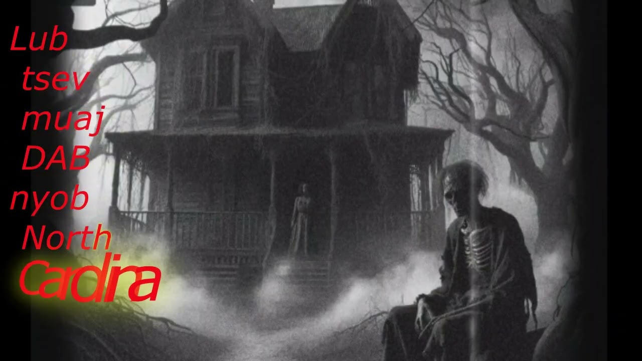 Lub tsev muaj DAB nyob North Carolina  2/26/25