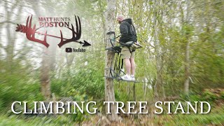 Best Climbing Tree Stand Video